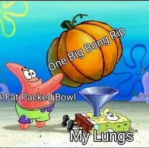 Meet your Posher, Dean